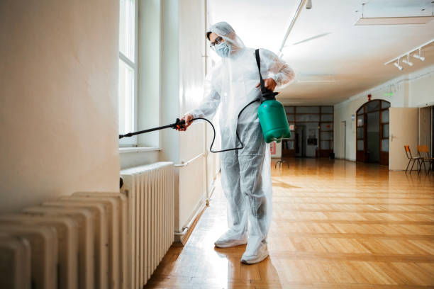 Best Pest Exclusion Services  in Boutte, LA